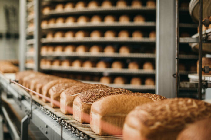 Loafs,Of,Bread,In,A,Bakery,On,An,Automated,Conveyor