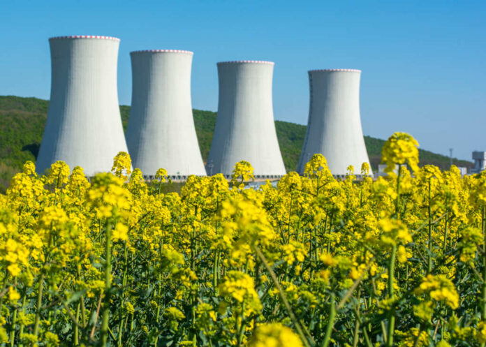 Field,Of,Rapeseed,canola,Or,Colza,,In,Latin,Brassica,Napus,With