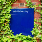Yale Donations Show Political Imbalance