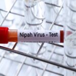 India Reports New Nipah Virus Cluster
