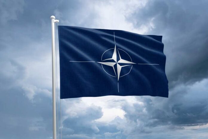 Estonia,-,March,8,,2022:,Nato,Flag,On,A,Flagpole