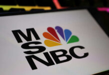 Close-up of the MSNBC logo featuring a colorful peacock design
