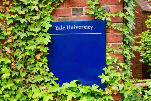 Sign for Yale University partially covered by ivy