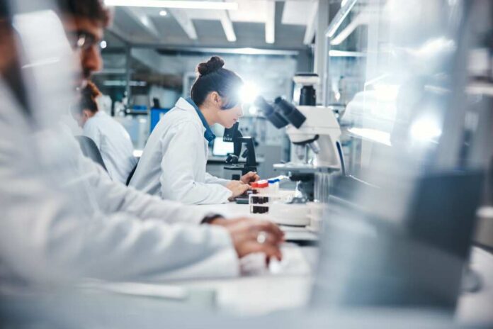 Scientists working in a laboratory with microscopes and test tubes