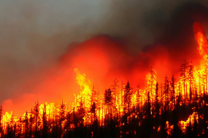 shutterstock2324666275jpg Intense wildfire engulfing a forest with flames and smoke