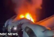Jet Fire Chaos—Sledgehammer Saves Lives Incredible effort to rescue survivors after Texas deadly plane crash