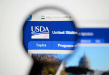 Flesh-Eating Fly Hits Texas Cattle Close-up view of the USDA website homepage through a magnifying glass