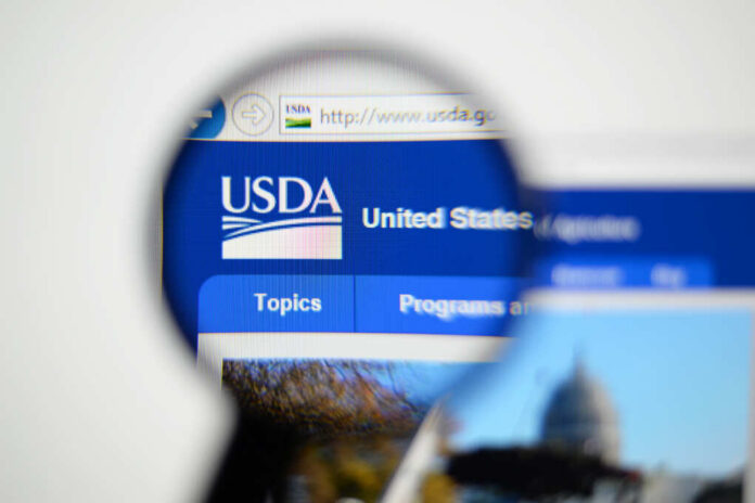 Lisbon,,Portugal,-,December,9,,2014:,Photo,Of,The,United Close-up view of the USDA website homepage through a magnifying glass