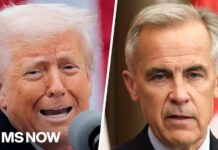 'Bad public policy': Reaction to Trump slapping new 50% tariffs on Canadian goods