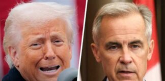 'Bad public policy': Reaction to Trump slapping new 50% tariffs on Canadian goods