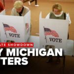 Money Flood Targets Michigan Progressive Why Michigan primary is TEST for Democratic Party
