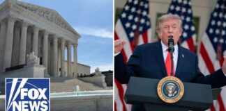 'UNDERMINES' AMERICAN CITIZENSHIP: Rep Brandon Gill says birth tourism threatens the US