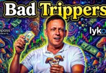 Policy By Text? Trump’s Psychedelic Pivot How Tech Bros and Big Pharma Hijacked Psychedelic Culture