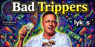 How Tech Bros and Big Pharma Hijacked Psychedelic Culture