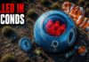 Took 49 Seconds To Kill All Astronauts On Board