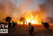 Evacuation Whiplash Stuns Spain’s Border Towns Spain Faces Explosive Wildfires As Firefighters Battle Night Inferno | DRM News | AL14