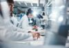 NYC Meteorite Hints at Alien Chemistry Scientists working in a laboratory with microscopes and test tubes