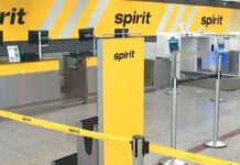 Google’s Data Grab Sparks Outrage Google buys Spirit Airlines' data trove for $10M