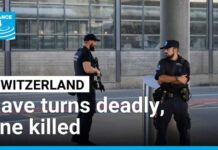 Swiss Party Turns Deadly — Gunman Missing Gunman kills one at Swiss rave party • FRANCE 24 English