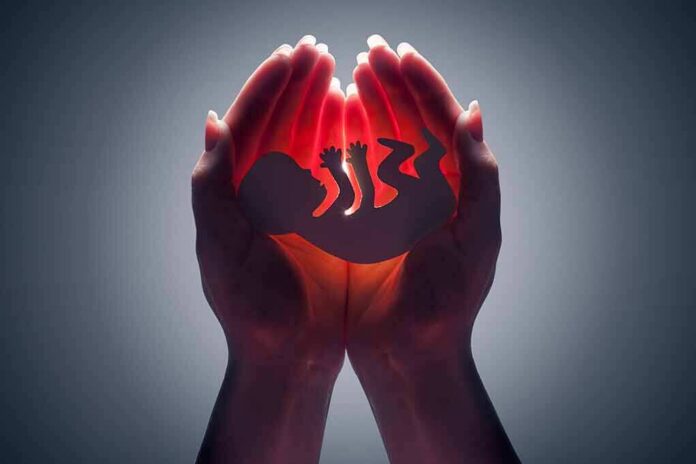Hands cupping a glowing fetal silhouette