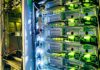 Server rack with network cables and glowing indicator lights