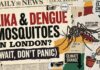 The UK Mosquito Warning Explained (What You Actually Need to Know)