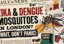 Invasive Mosquitoes Hit London Homes The UK Mosquito Warning Explained (What You Actually Need to Know)