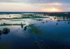 Aerial view of flooded farmland at sunset