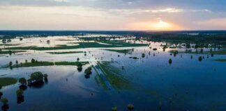 Aerial view of flooded farmland at sunset