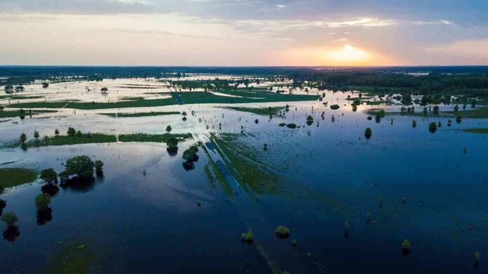 shutterstock_1116414122 Aerial view of flooded farmland at sunset