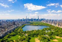 Morning Stabbing Rattles Central Park Central Park with Manhattan skyline on a sunny day