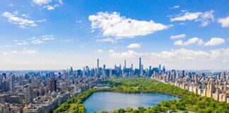 Central Park with Manhattan skyline on a sunny day