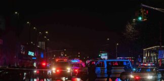 Nighttime police scene with flashing lights on a wet city street