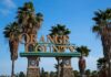 City Hall Firestorm: Mayor Under Review Orange County entrance sign with palm trees