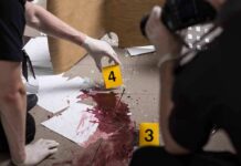 Fentanyl Whispers Cloud Hayden’s Final Call forensic investigators documenting a bloodstained crime scene