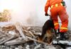 Tunnel Miracle Stuns Rescuers rescue worker with dog searching rubble