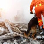Tunnel Miracle Stuns Rescuers rescue worker with dog searching rubble