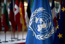 Survivor’s Rebuke Shakes United Nations United Nations flag among international flags