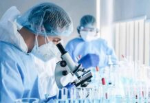 Hospital Lab Flags Scary Brain Fungus Surge Scientist using a microscope in a laboratory