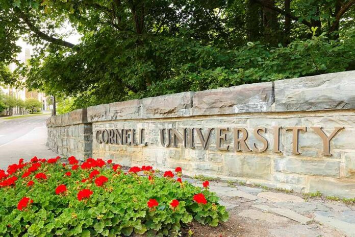 Cornell University stone entrance sign with red flowers