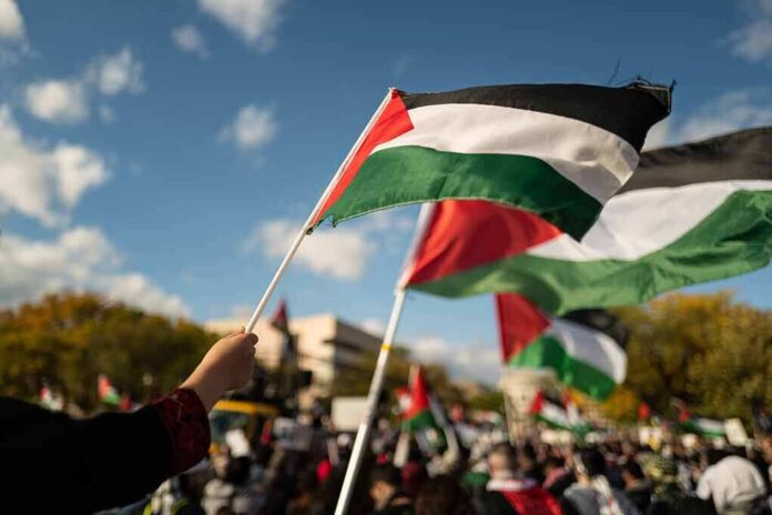 shutterstock_2378182777 Palestinian flags waving at an outdoor rally
